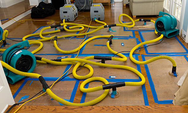 Professional Flood Damage Restoration technician working in Sloan, NY
